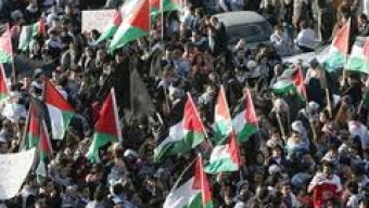 (23.11.2012) ח”כ אלדד במאמר למעריב על הפגנות ערביי ישראל