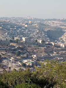 ירושלים מארמון הנציב