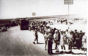 פליטים ערבים תשח